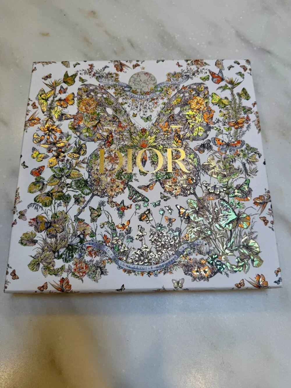 Dior Oblique Diortwin 90 Square Scarf